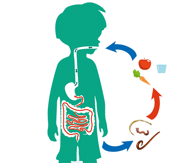 Pathways of Human Infection by Parasites